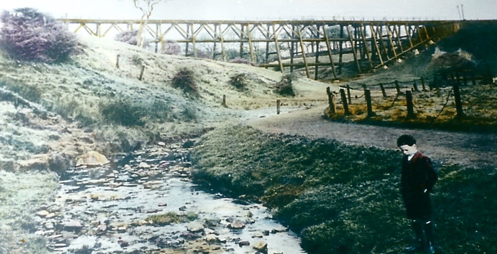 SeatonSluiceDeneTrestleBridge